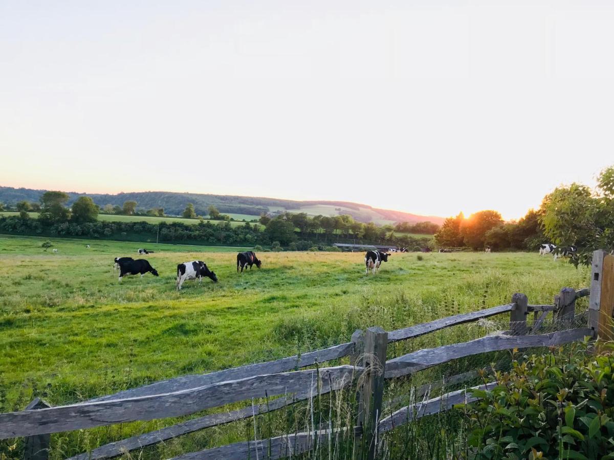 The Cow Hide Bed & Breakfast Аръндел Екстериор снимка