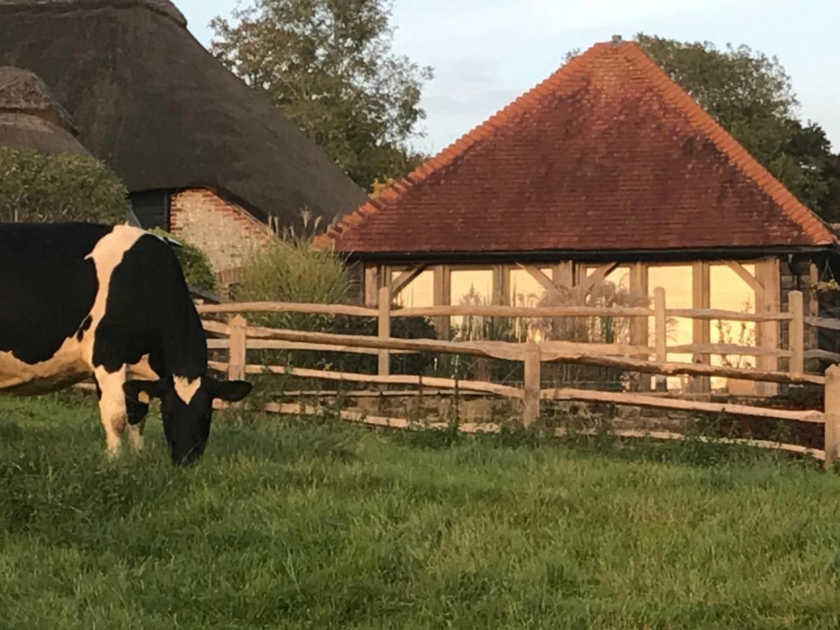The Cow Hide Bed & Breakfast Аръндел Екстериор снимка